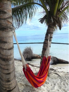 hammock