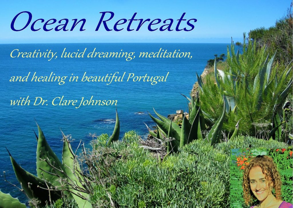 Lucid Dreaing Ocean Retreats image